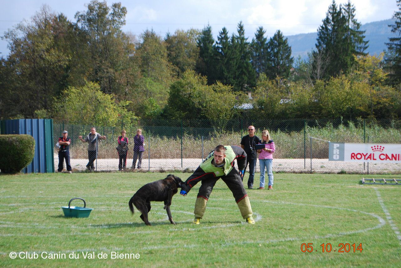 2014 val de bienne falco.jpg